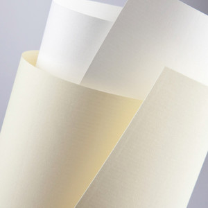 Papier Wizytówkowy Płótno,Laid 120g Kremowy Opk.50szt Argo