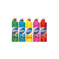 Domestos Płyn Do Wc 1L Pine