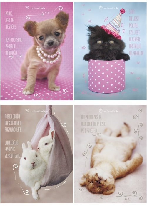 Wkład Do Segregatora A5 Rachel Hale Beniamin 604783