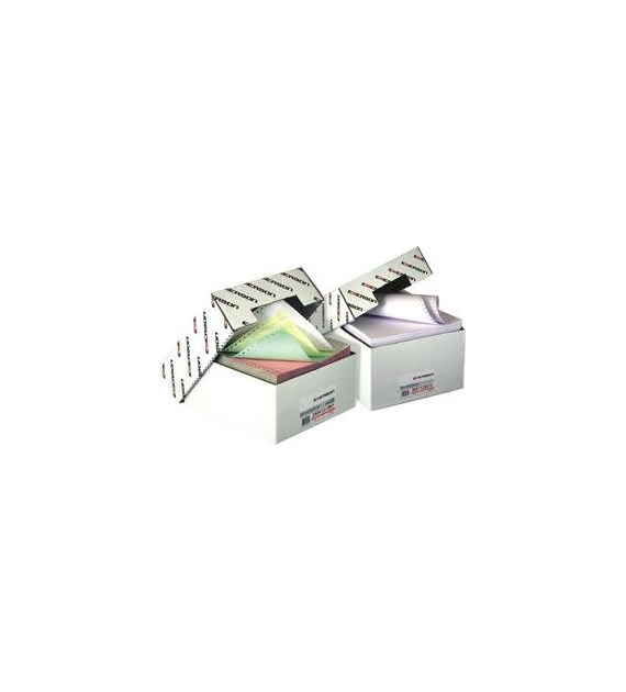 Papier Komputerowy 240x12x3 Kolor Nadruk 240312c0n1 Emerson