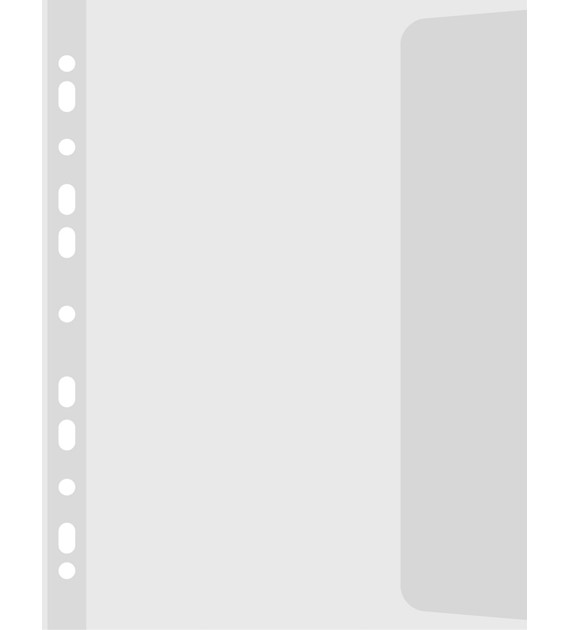 Koszulka Na Dokumenty A4 z Klapką Boczną Groszkowa 100mic opk 10szt 200-0138 KBK