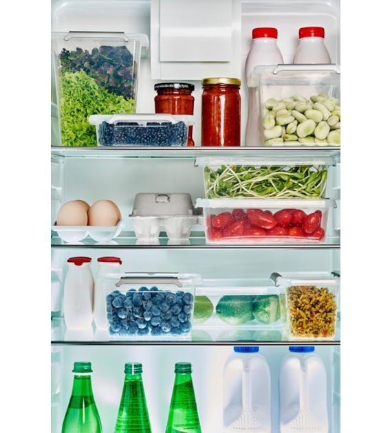 Pojemnik Antybakteryjny NanoBox Zestaw 2x0,65l OR-3022