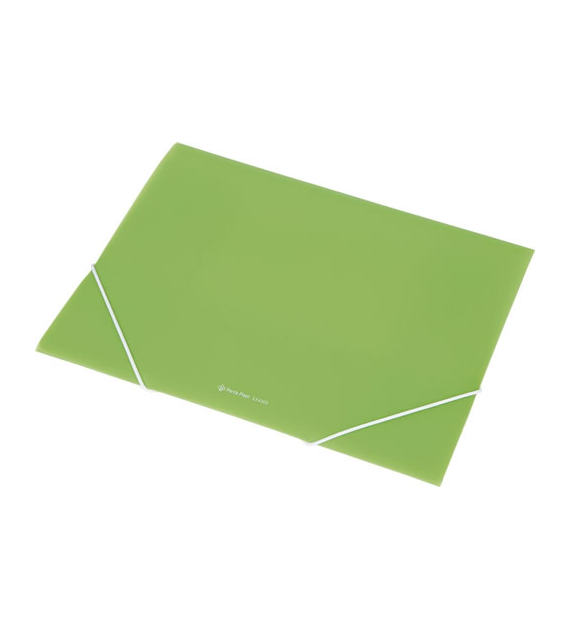 Teczka Na Gumkę A4 Plastikowa Transparentna EX4302 Zielona Focus